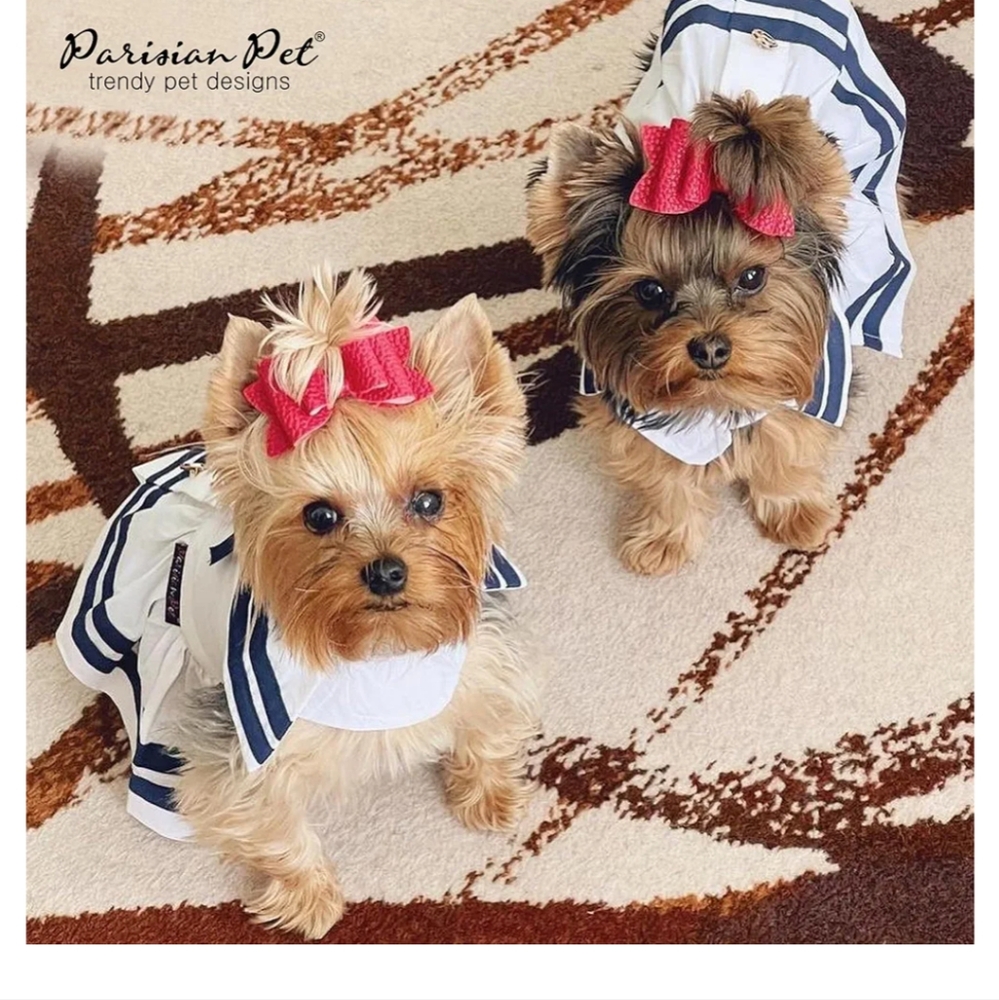 Parisian pet sailor dog dress. White blue gold medium or large.  New - Picture 10 of 12
